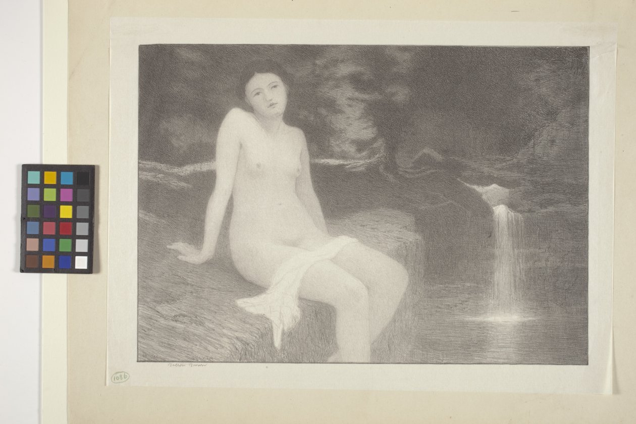Sylvia - Bolton Coit Brown