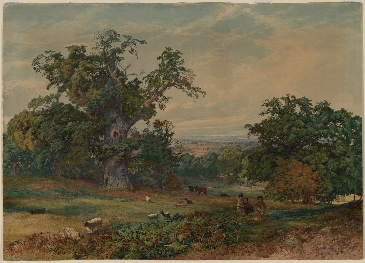 Vue près de Bedford - Bradford Rudge