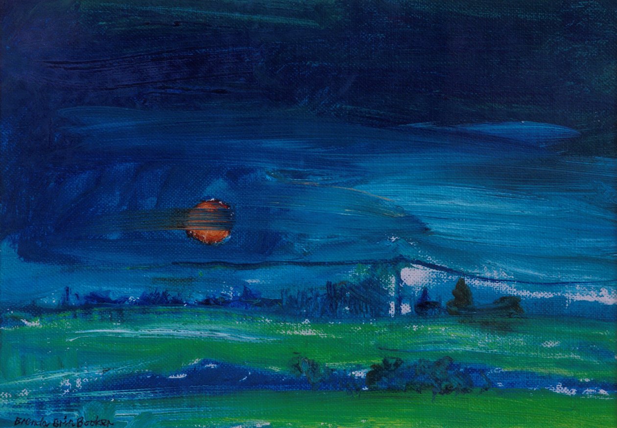 Paysage du soir - Brenda Brin Booker