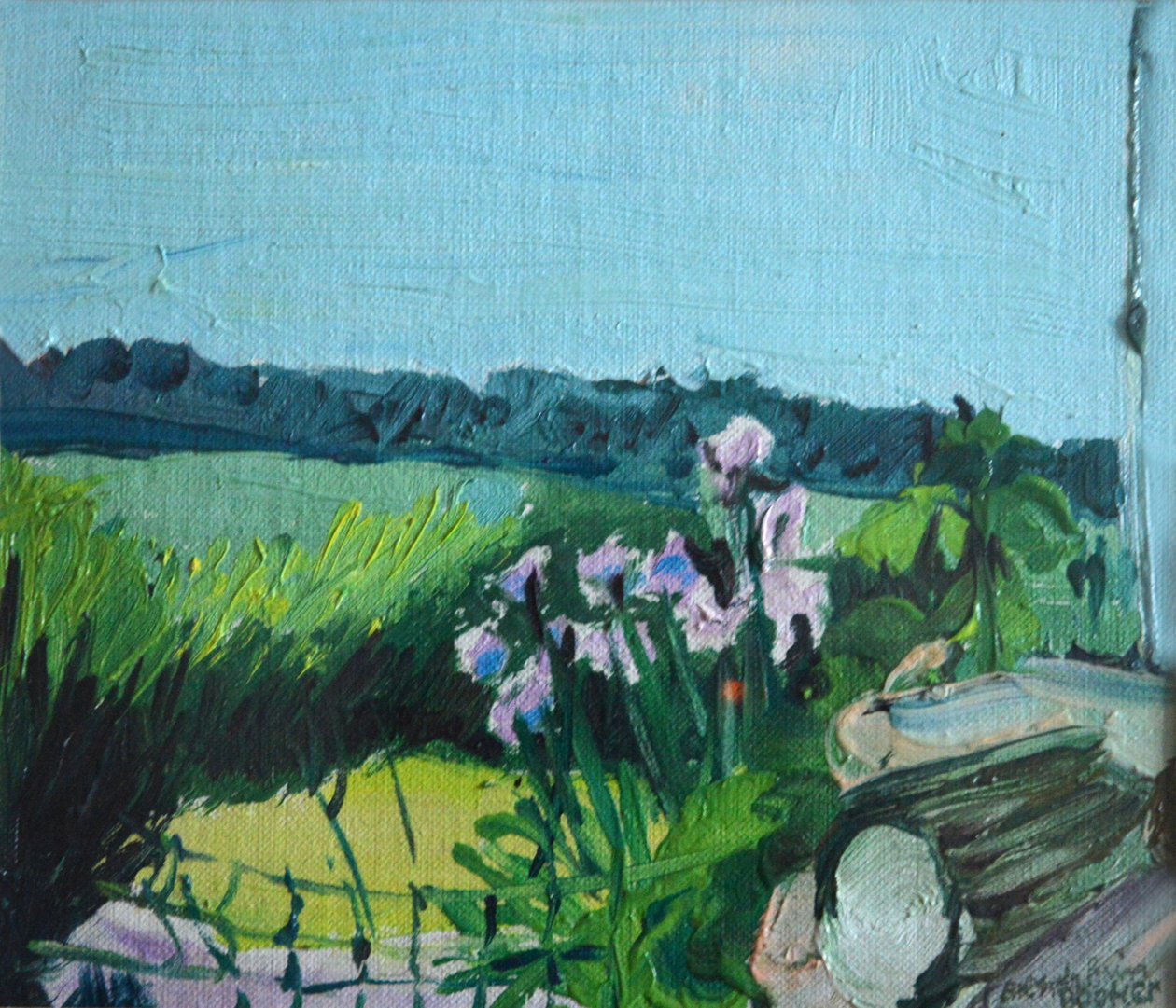 Iris dans le jardin - Brenda Brin Booker
