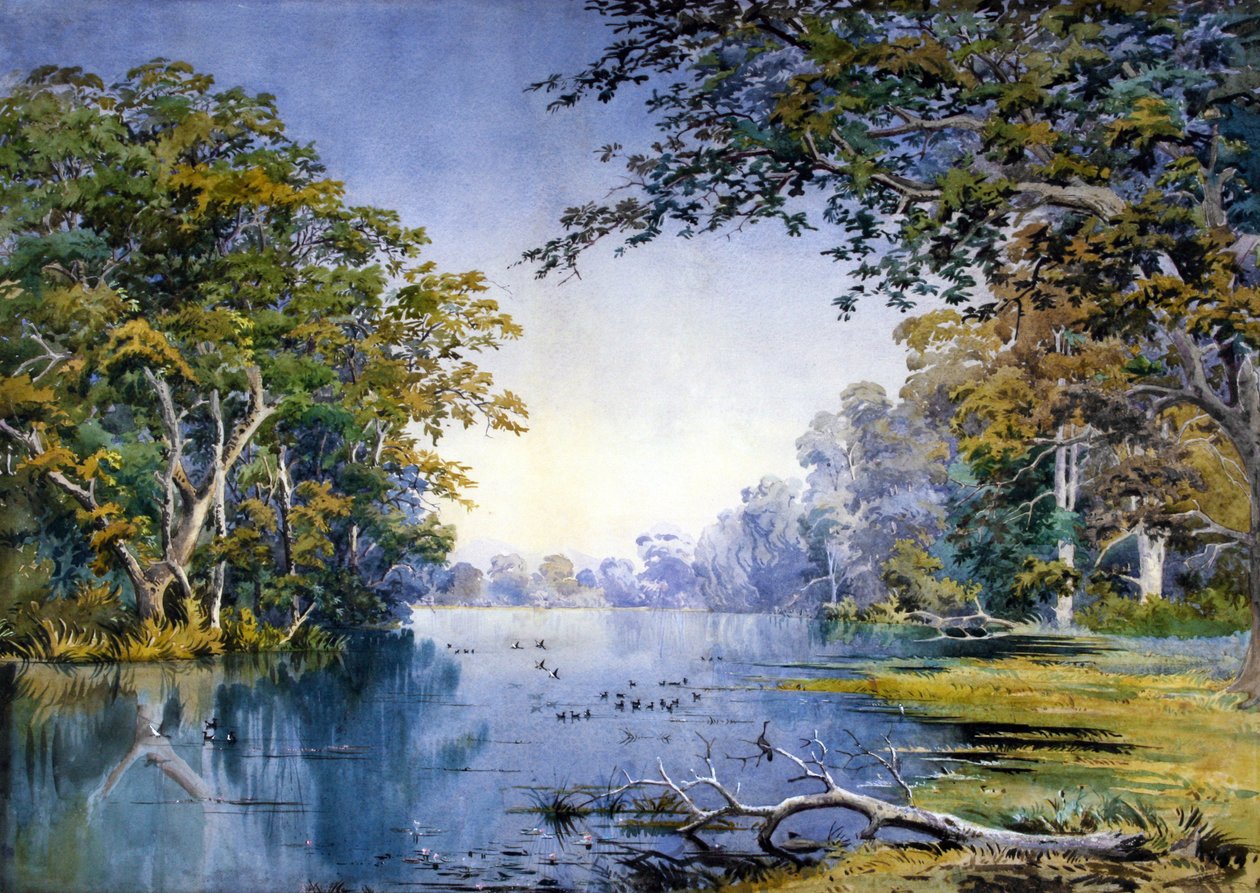 Une rivière boisée - British School