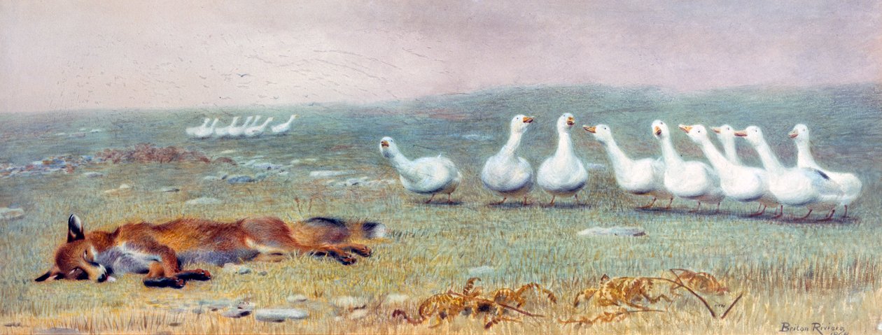 Un jeu de renard et d