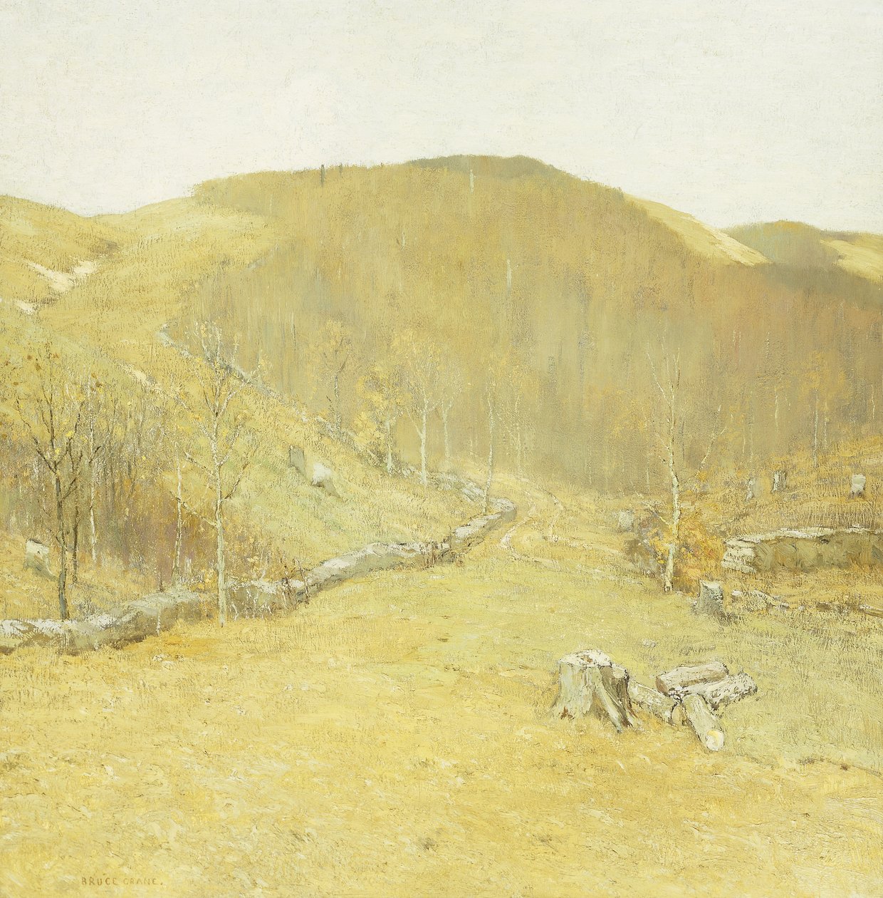Les collines - Bruce Crane