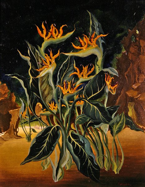 Fleurs étranges - Bruce Hollingsworth