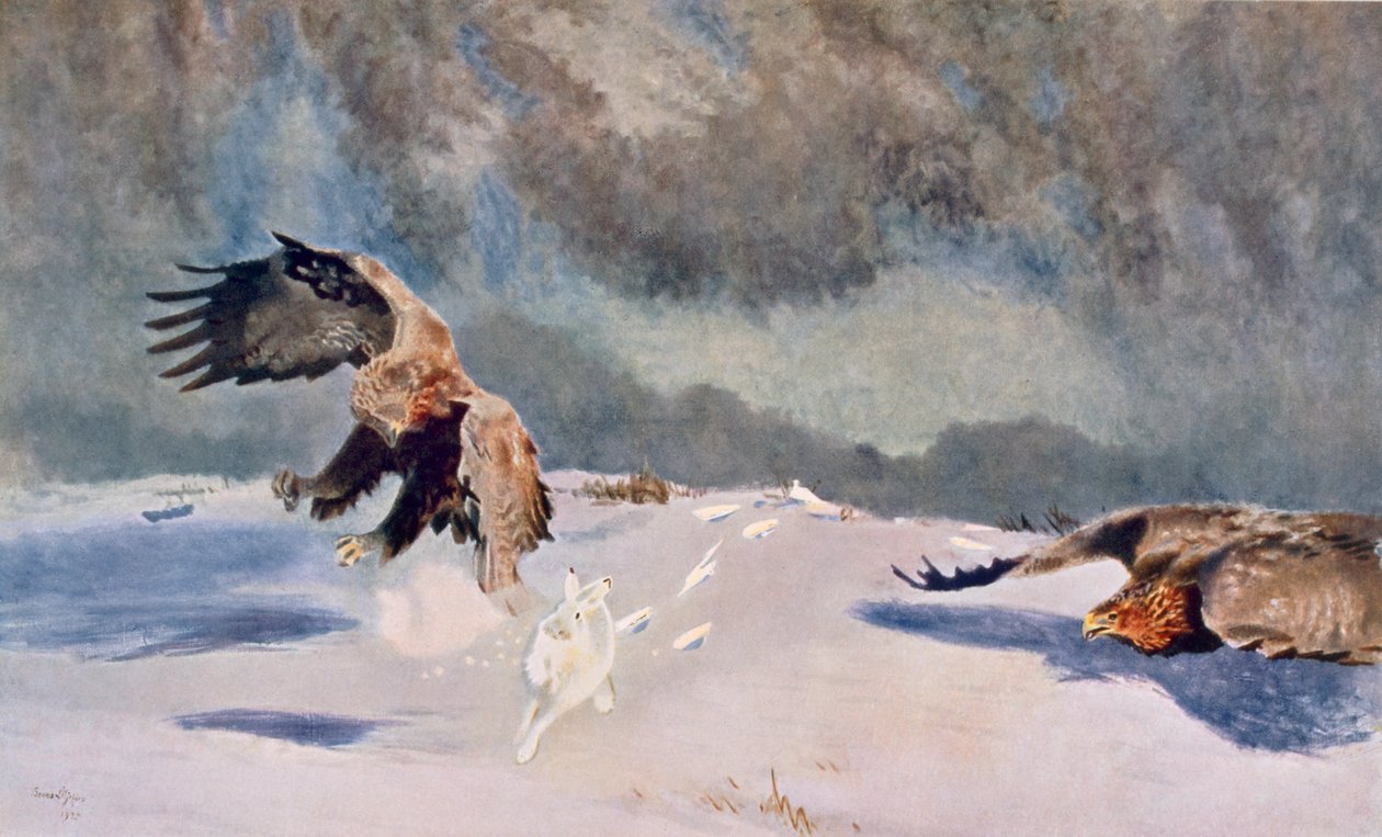 Aigles et lapin, 1922 - Bruno Andreas Liljefors
