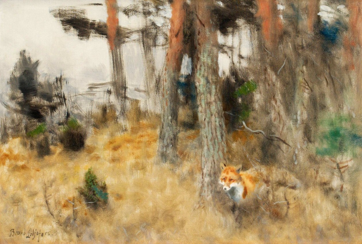 Ravin dans une forêt - Bruno Andreas Liljefors