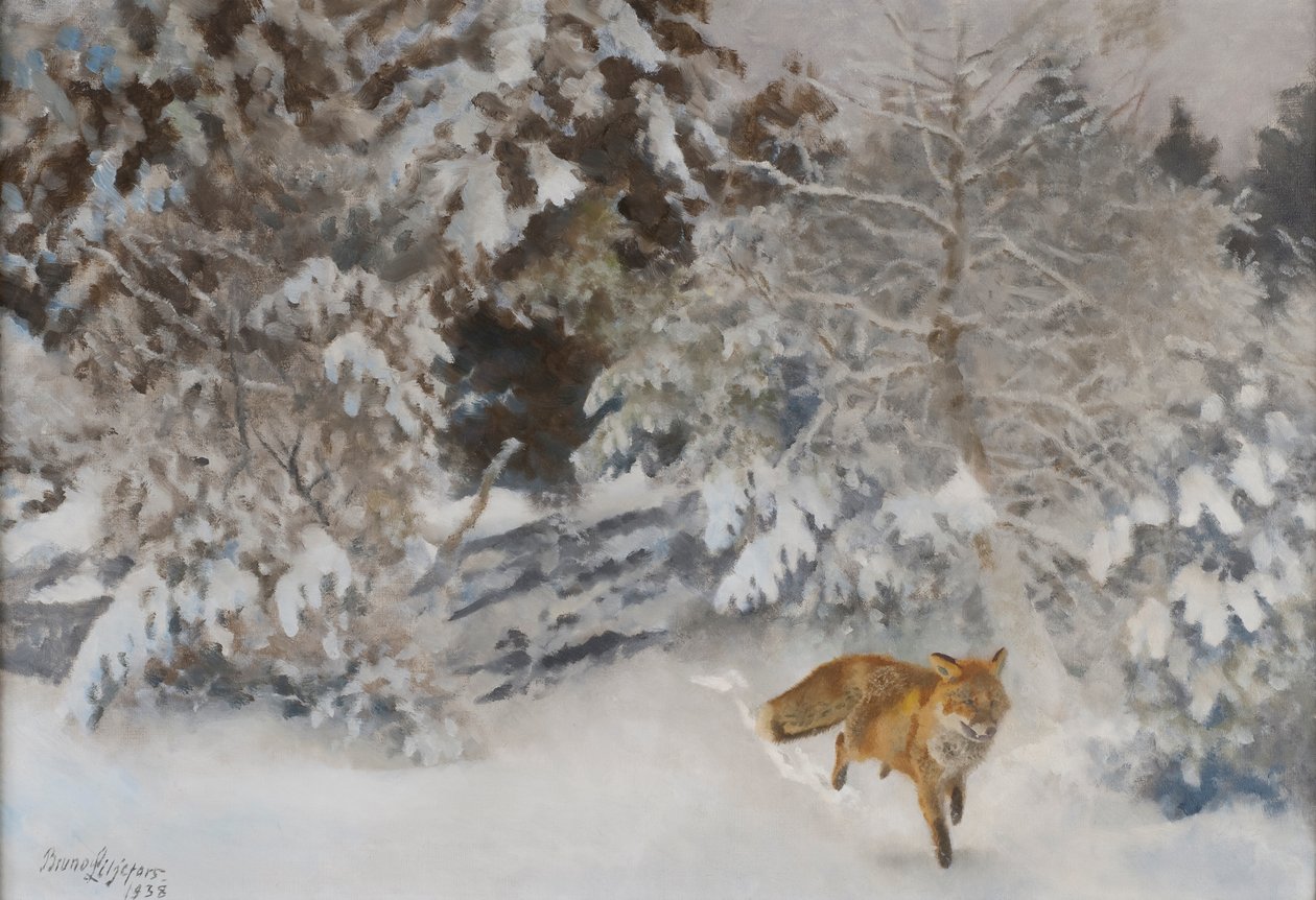 Renard dans un paysage d