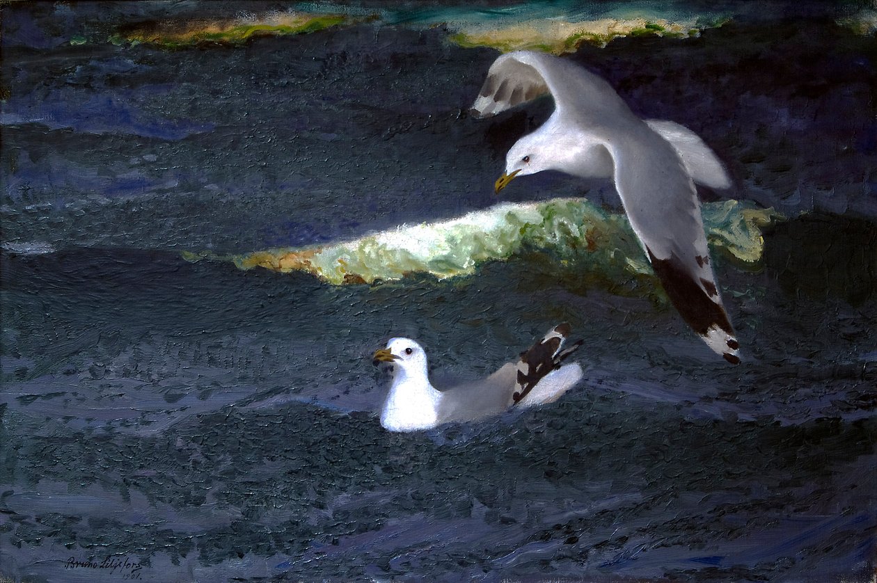 Mouettes - Bruno Andreas Liljefors