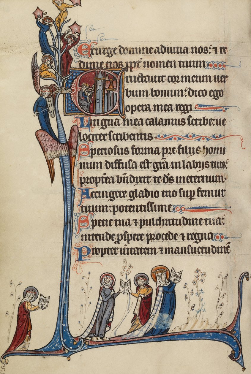 Initiale E : David Jouant de la Harpe - Bute Master