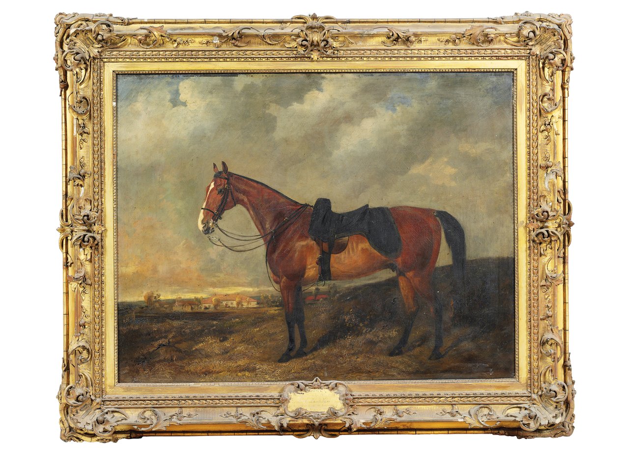 Shadrach, un Chasseur Alezan dans un Paysage - Byron Webb
