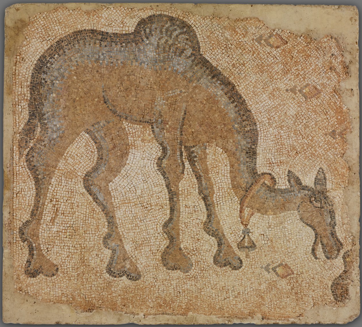 Fragment de mosaïque avec chameau broutant - Byzantine
