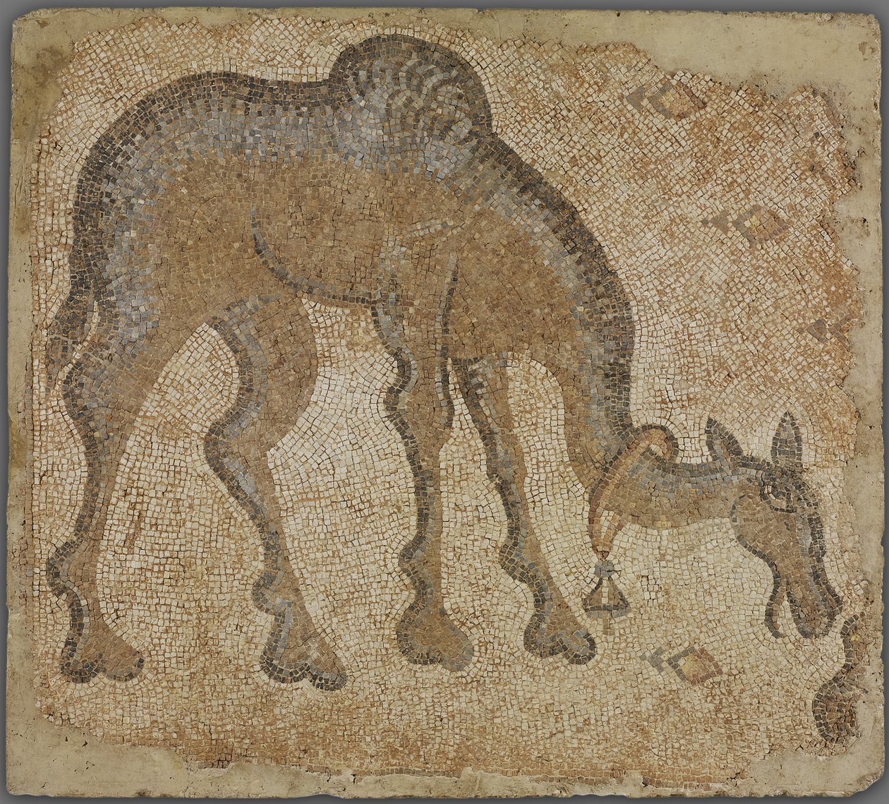 Fragment de mosaïque avec chameau broutant - Byzantine