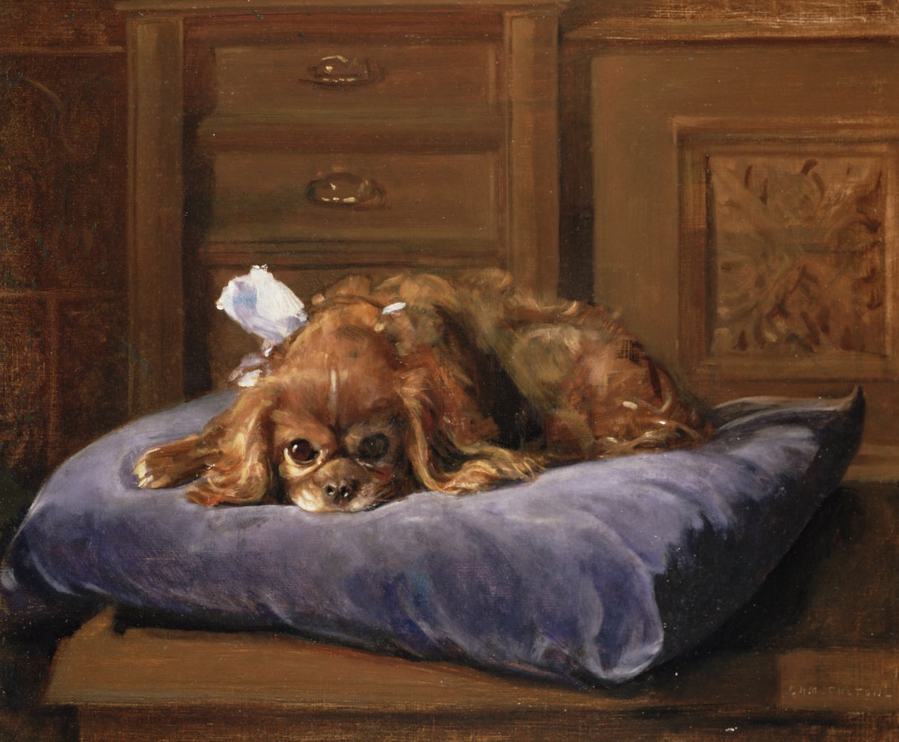 Épagneul King Charles - C. Fulton