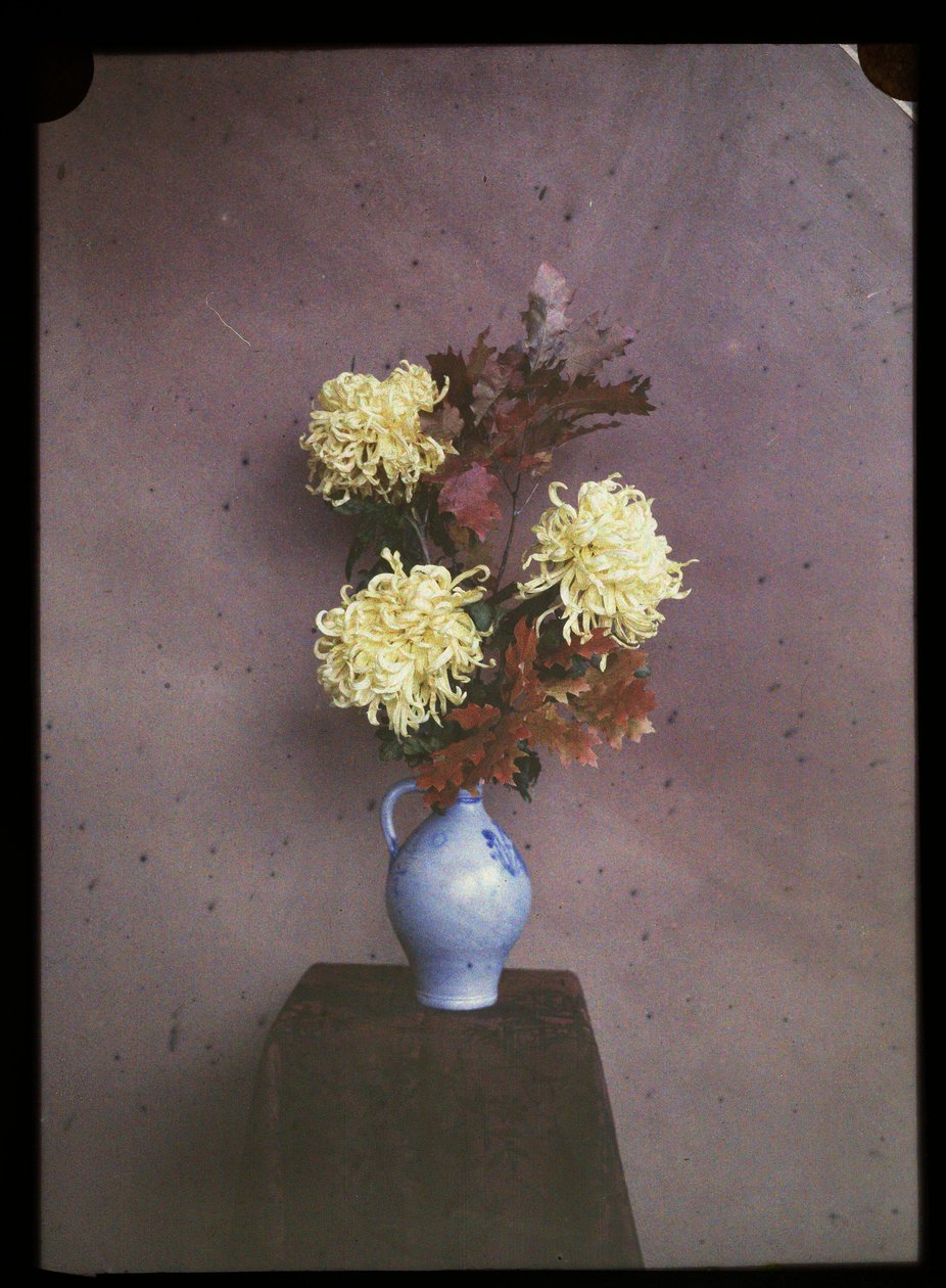 Fleurs (asters) dans un vase - C.W. Immink