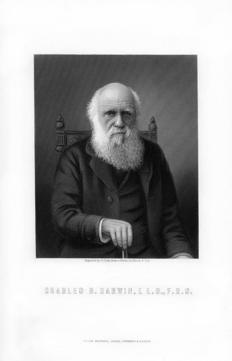Charles Darwin, naturaliste britannique, 1899 - C. Cook
