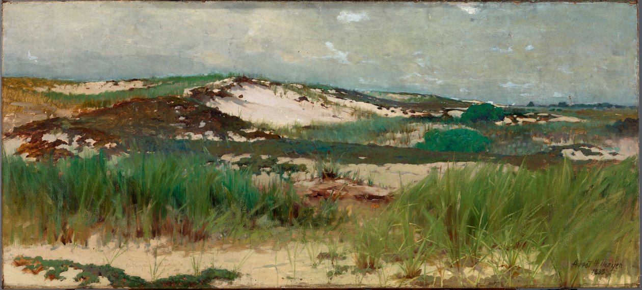 Dune de sable de Nantucket - C. Morgan McIlhenney
