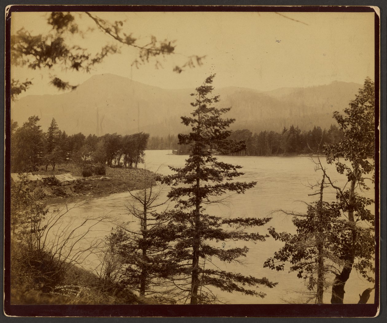 Scène sur le fleuve Columbia - C. R. Savage
