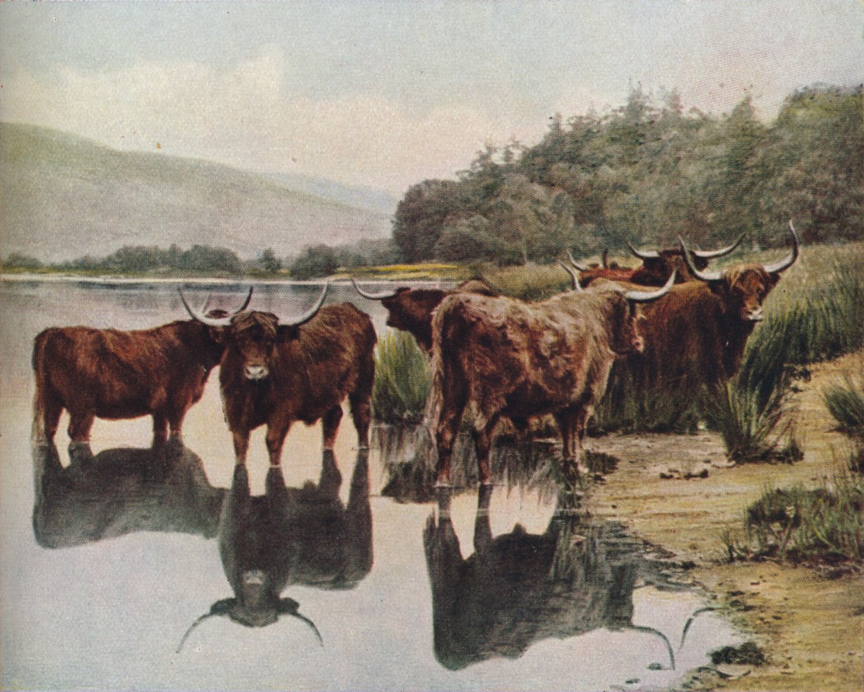 Écosse, vers 1930 - C. Reid