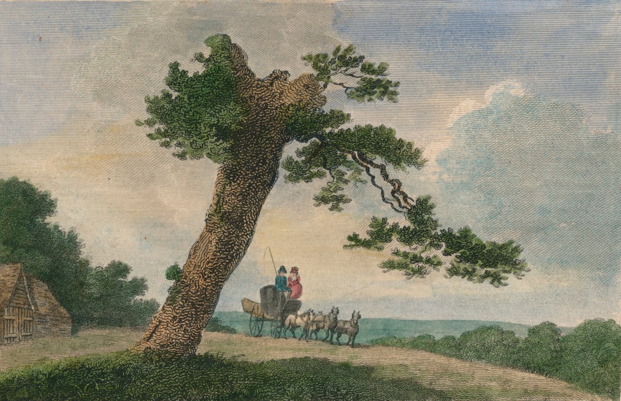 Sujet rural, 1804 - C Taylor