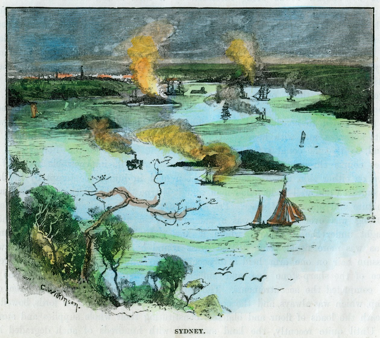 Sydney, Nouvelle-Galles du Sud, Australie, vers 1885 - C. Wilkinson