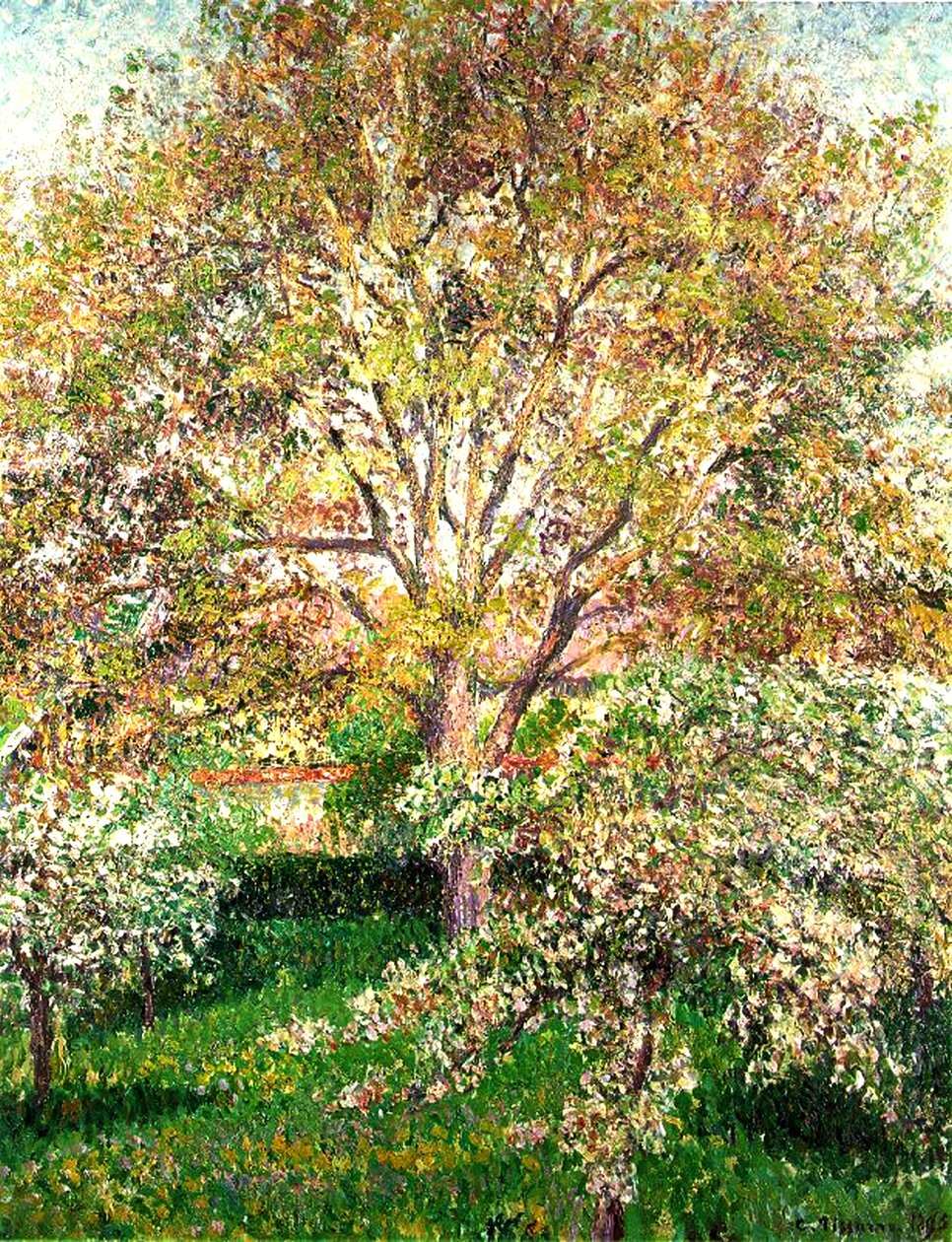 Arbres en fleurs à Éragny, 1895 - Camille Jacob Pissarro