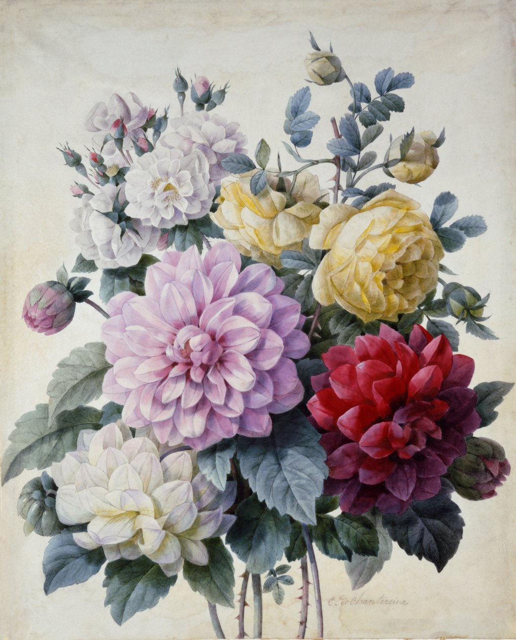 Bouquet de fleurs, dahlias et roses - Camille de Chantereine