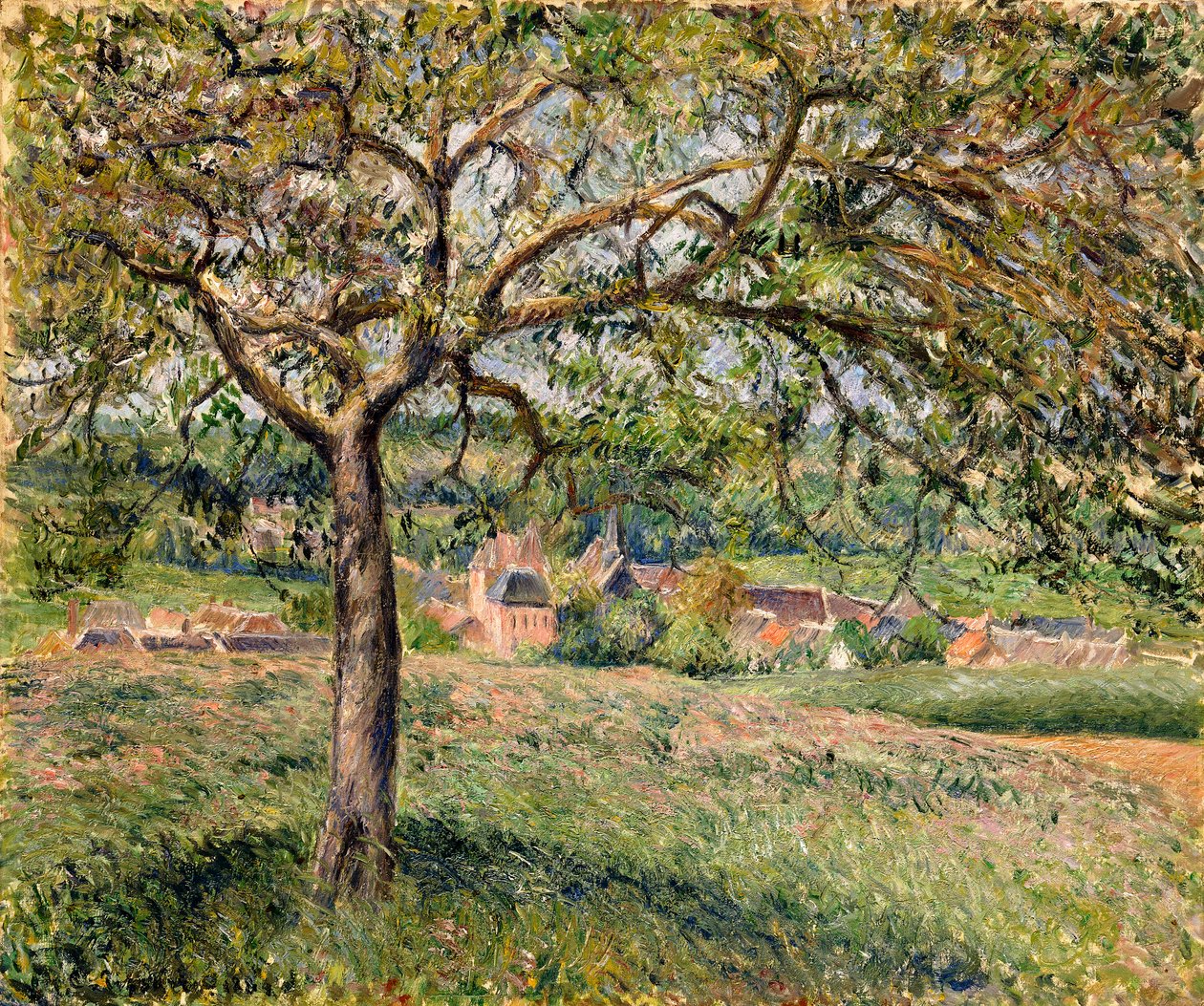 Pommier à Éragny - Camille Jacob Pissarro