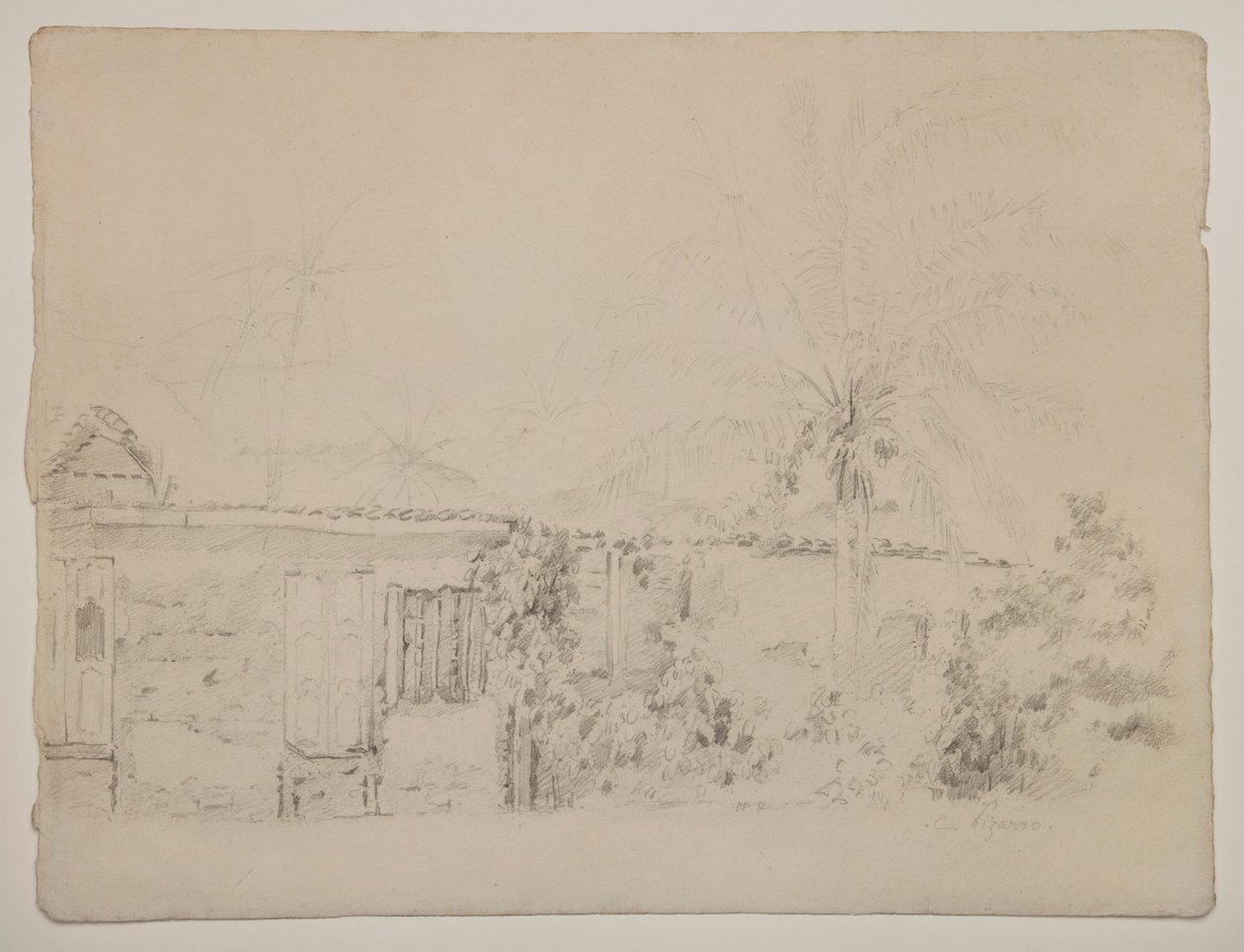 Maisons et Palmiers - Camille Pissarro