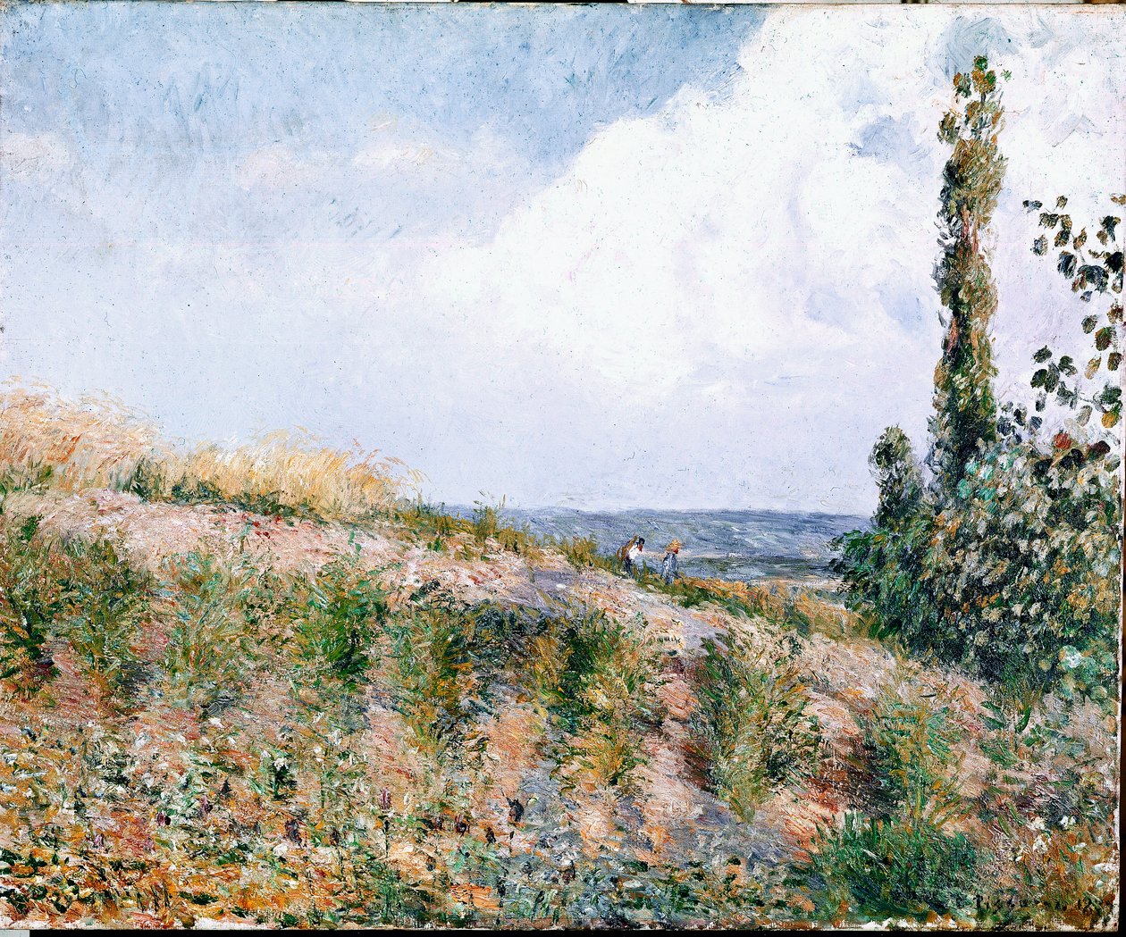 Paysage - Camille Jacob Pissarro