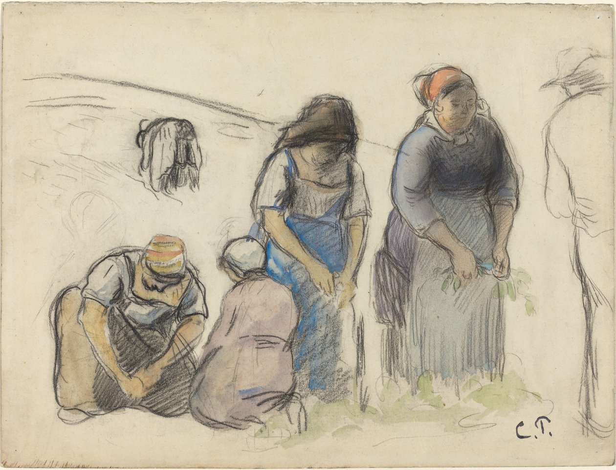 Récolte des pois [recto] - Camille Pissarro