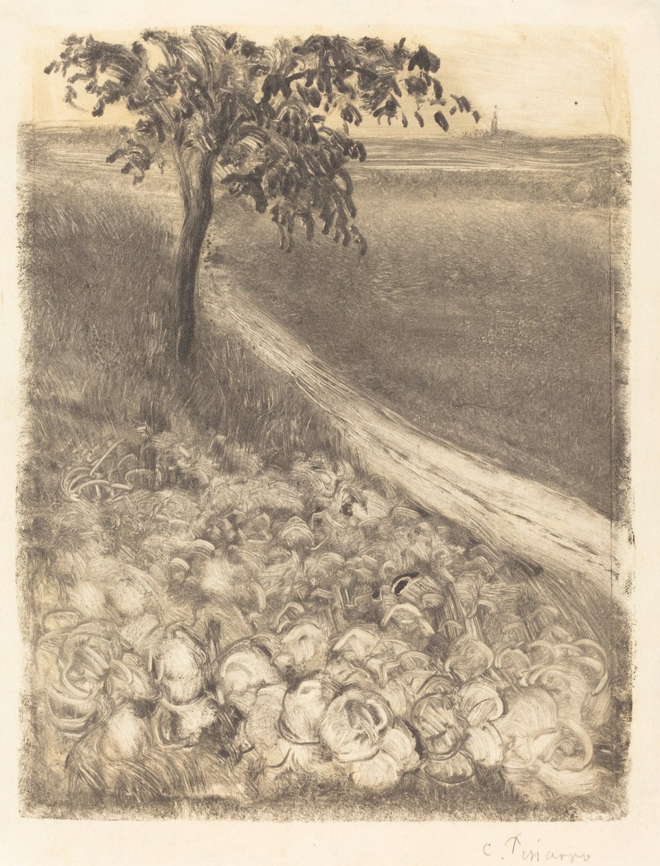 Route par un champ de choux - Camille Pissarro