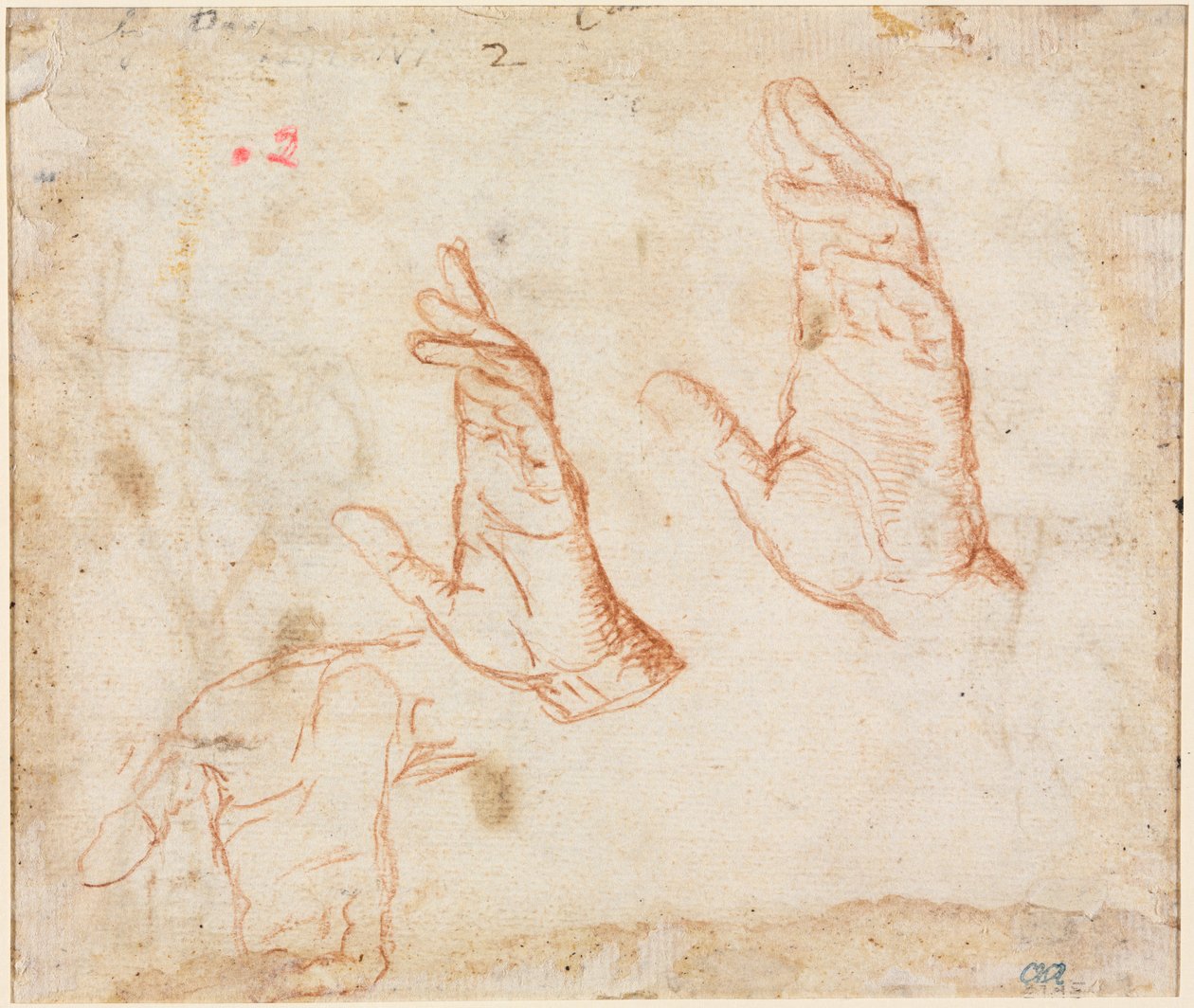 Étude de mains verso, vers 1590 - Camillo Procaccini