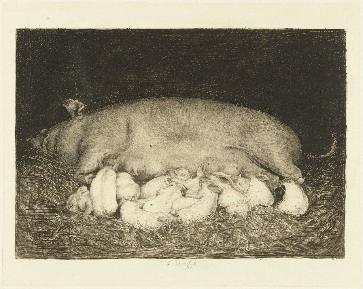 Truie avec porcelets allongés dans une étable - Carel Lodewijk Dake