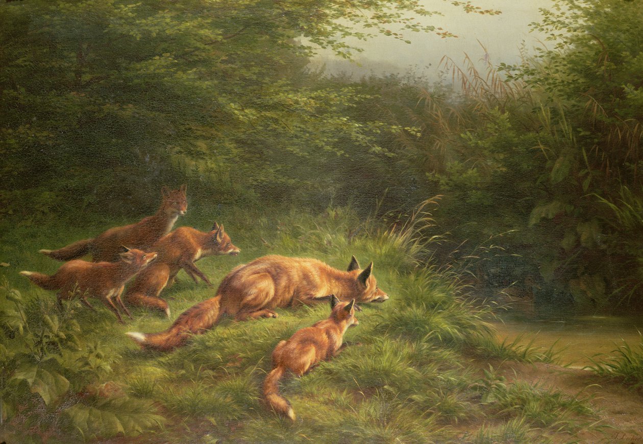 Renards attendant la proie - Carl Friedrich Deiker
