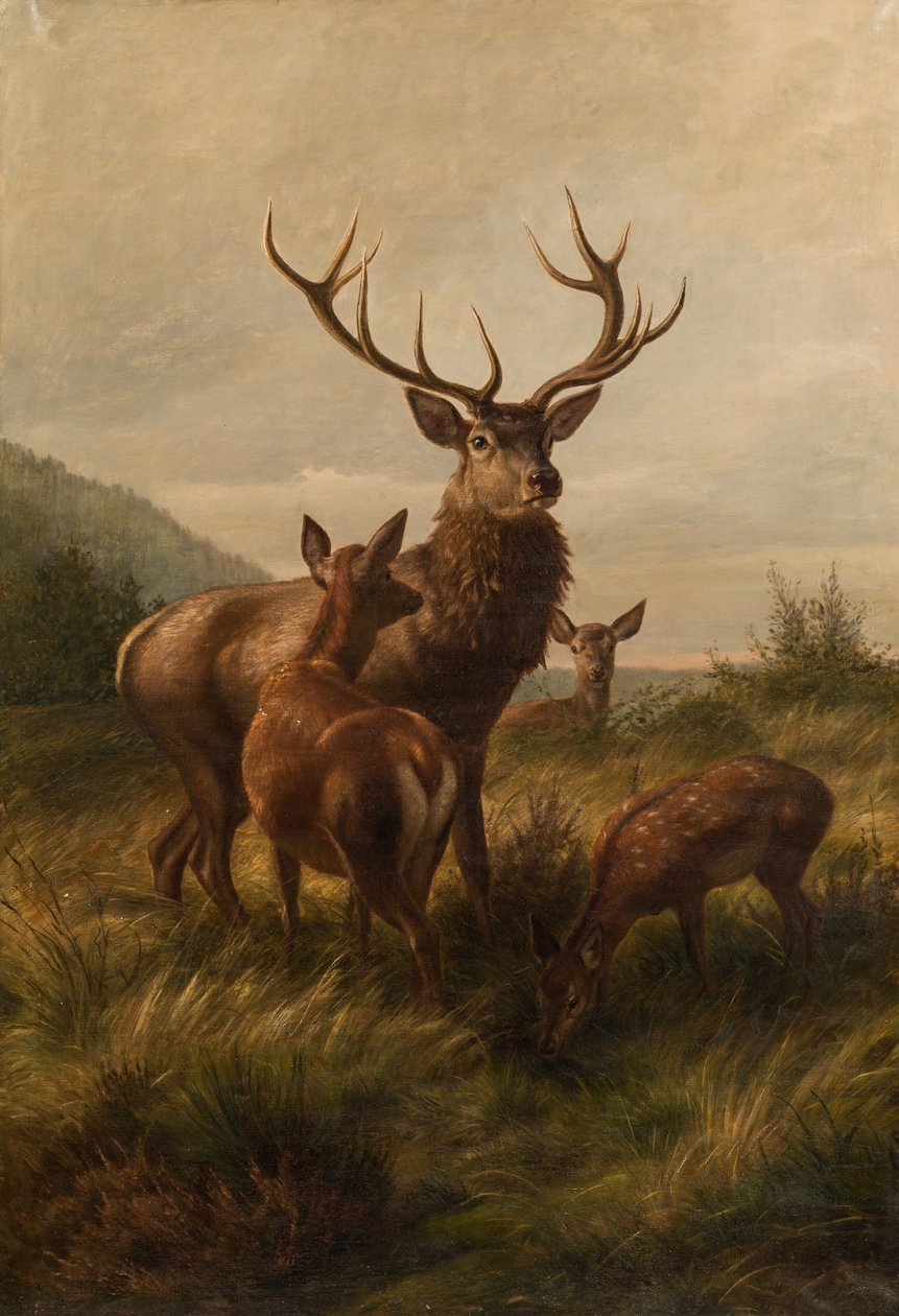 Cerf à douze cors avec biches - Carl Friedrich Deiker