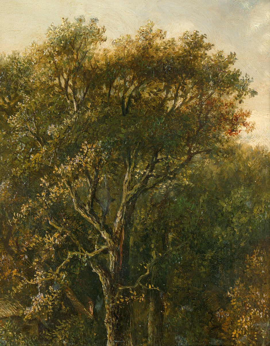 Forêt avec chêne - Carl Gustav Carus