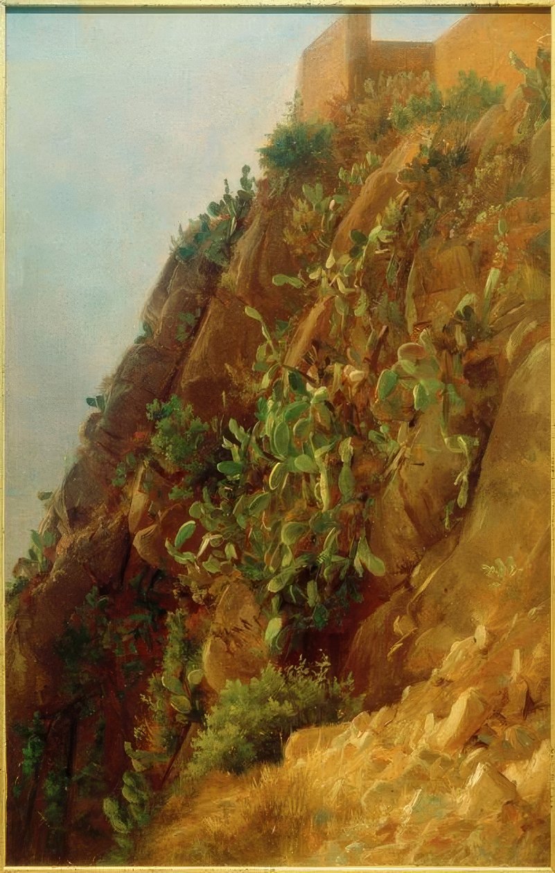C. Morgenstern, Opuntias sur la pente de Capri - Carl Morgenstern