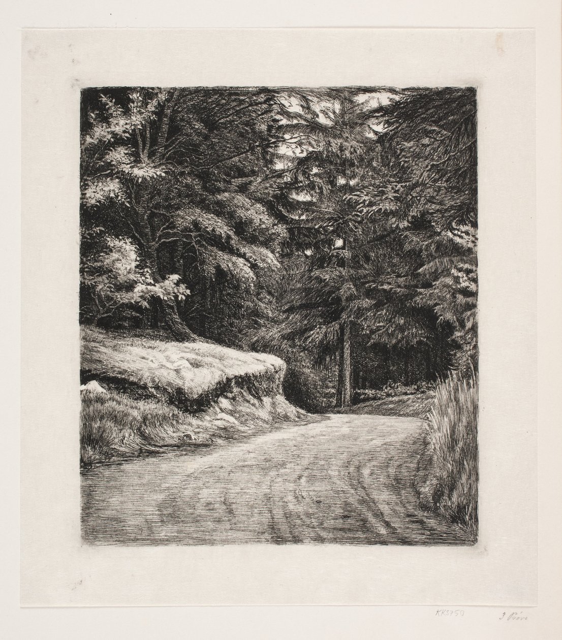 Le chemin dans la forêt de sapins - Carl Bloch