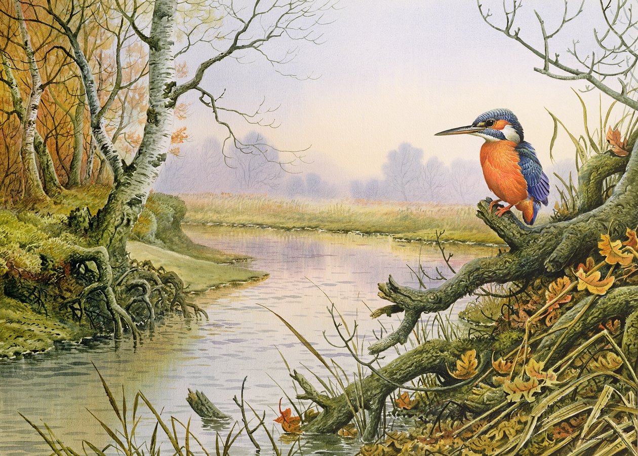 Martin-pêcheur : scène de rivière en automne - Carl Donner