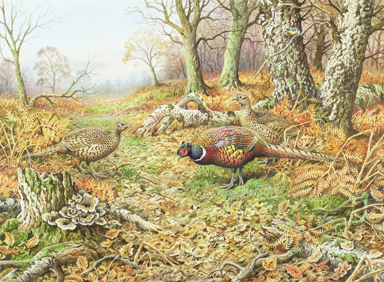 Faisans avec mésanges bleues - Carl Donner