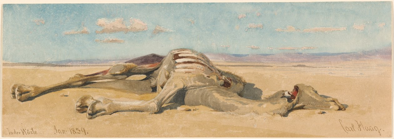 Dans le désert - Carl Haag