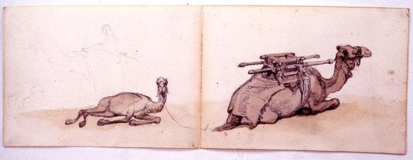Deux croquis de dromadaires - Carl Haag