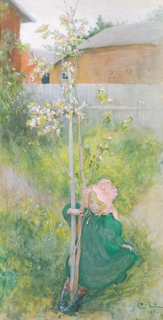 Fleur de pommier, 1894 - Carl Larsson