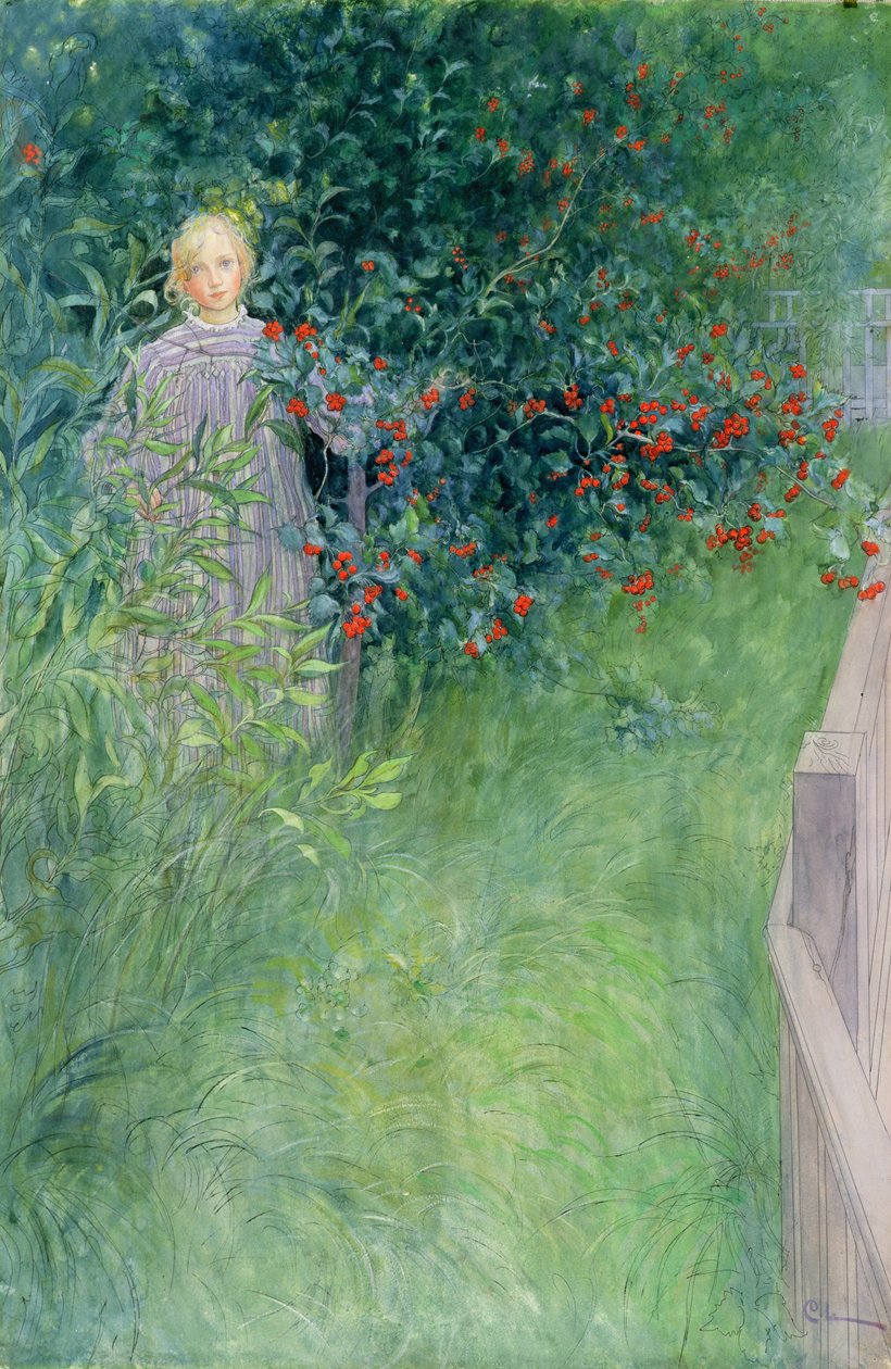 Dans la haie d
