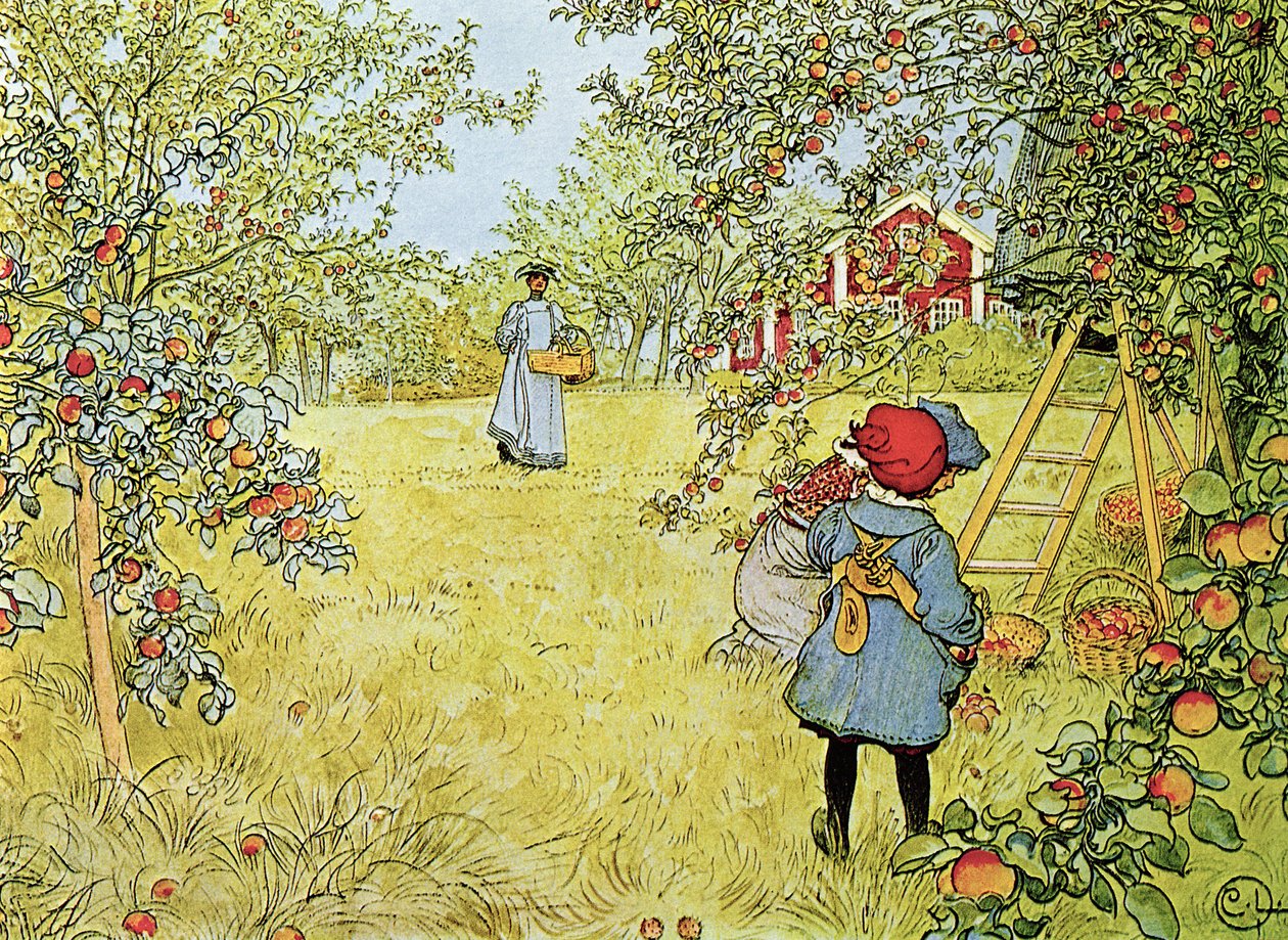 La récolte des pommes - Carl Larsson