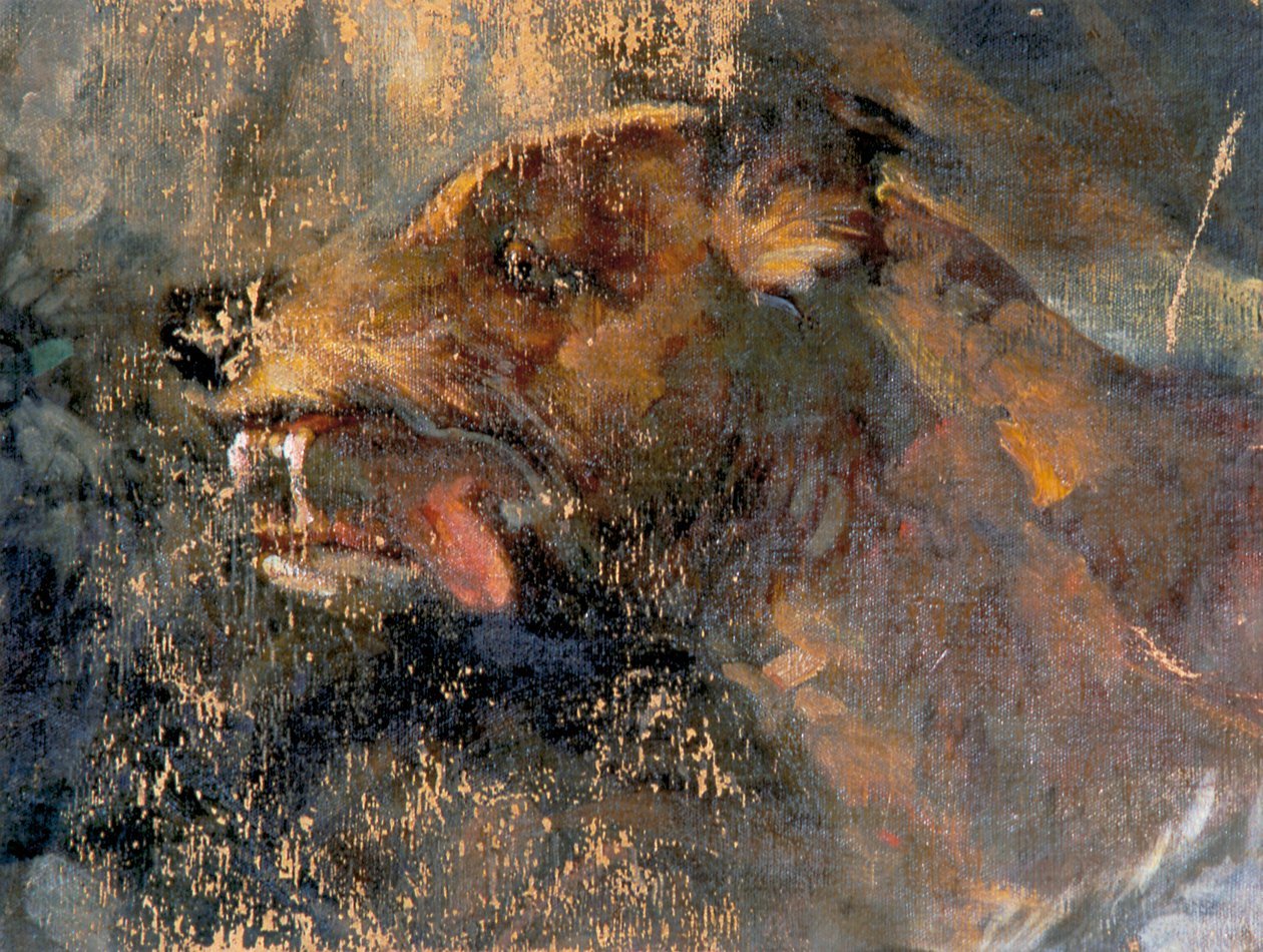 Tête de chien - Carl Rudolf Huber
