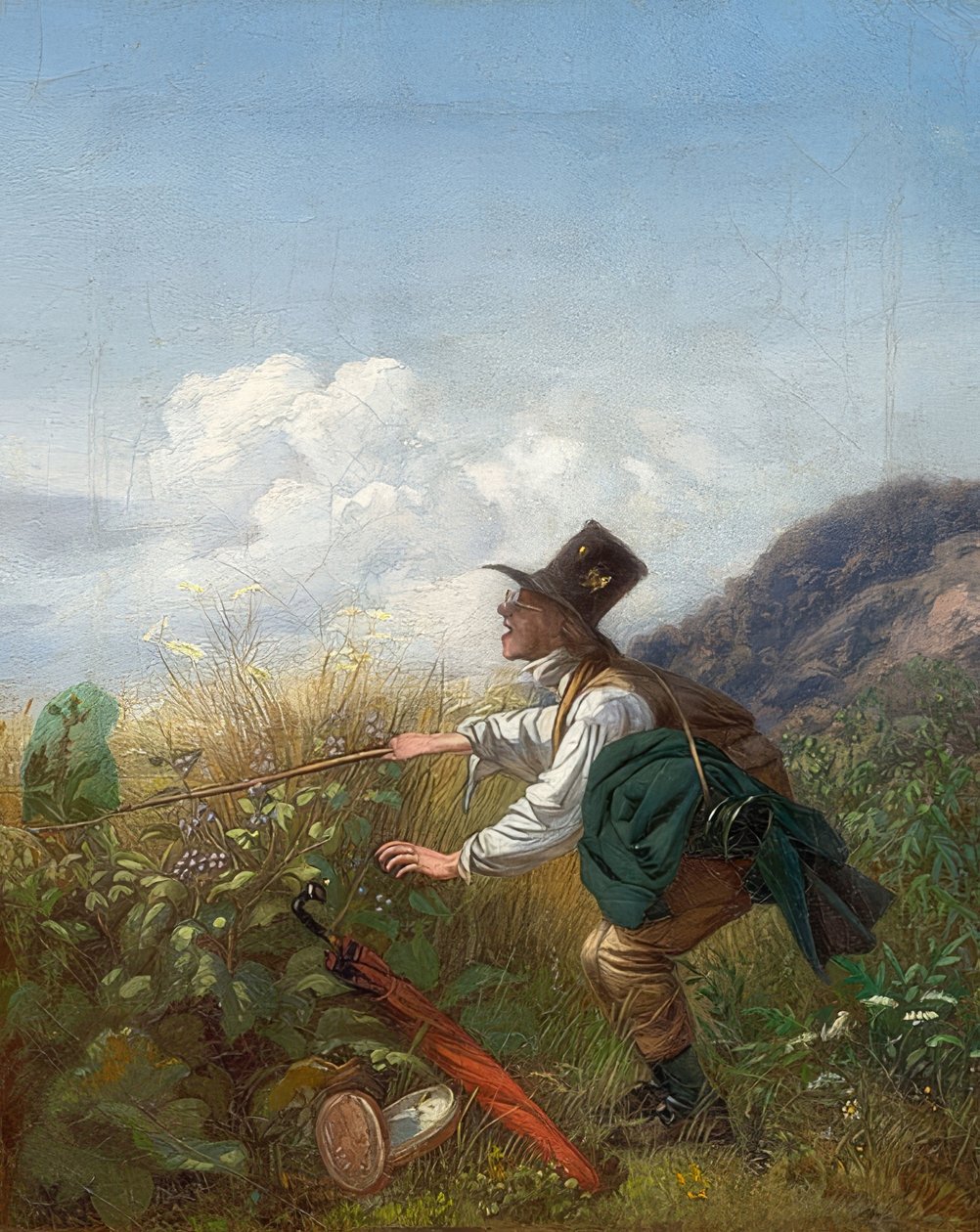 Le chasseur de papillons (Botaniste). Vers 1837 - Carl Spitzweg