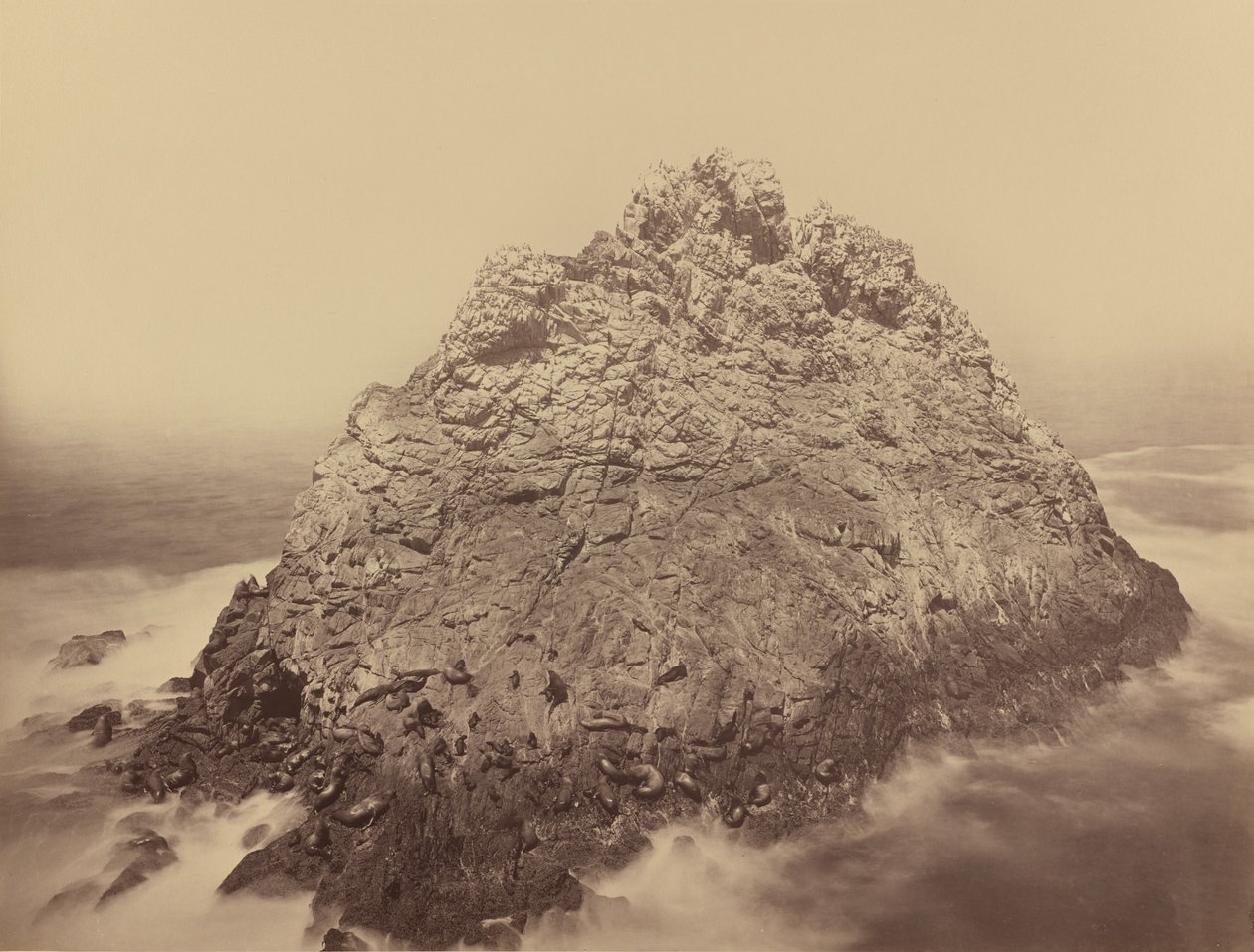 Île du Pain de Sucre, Farallons - Carleton E. Watkins