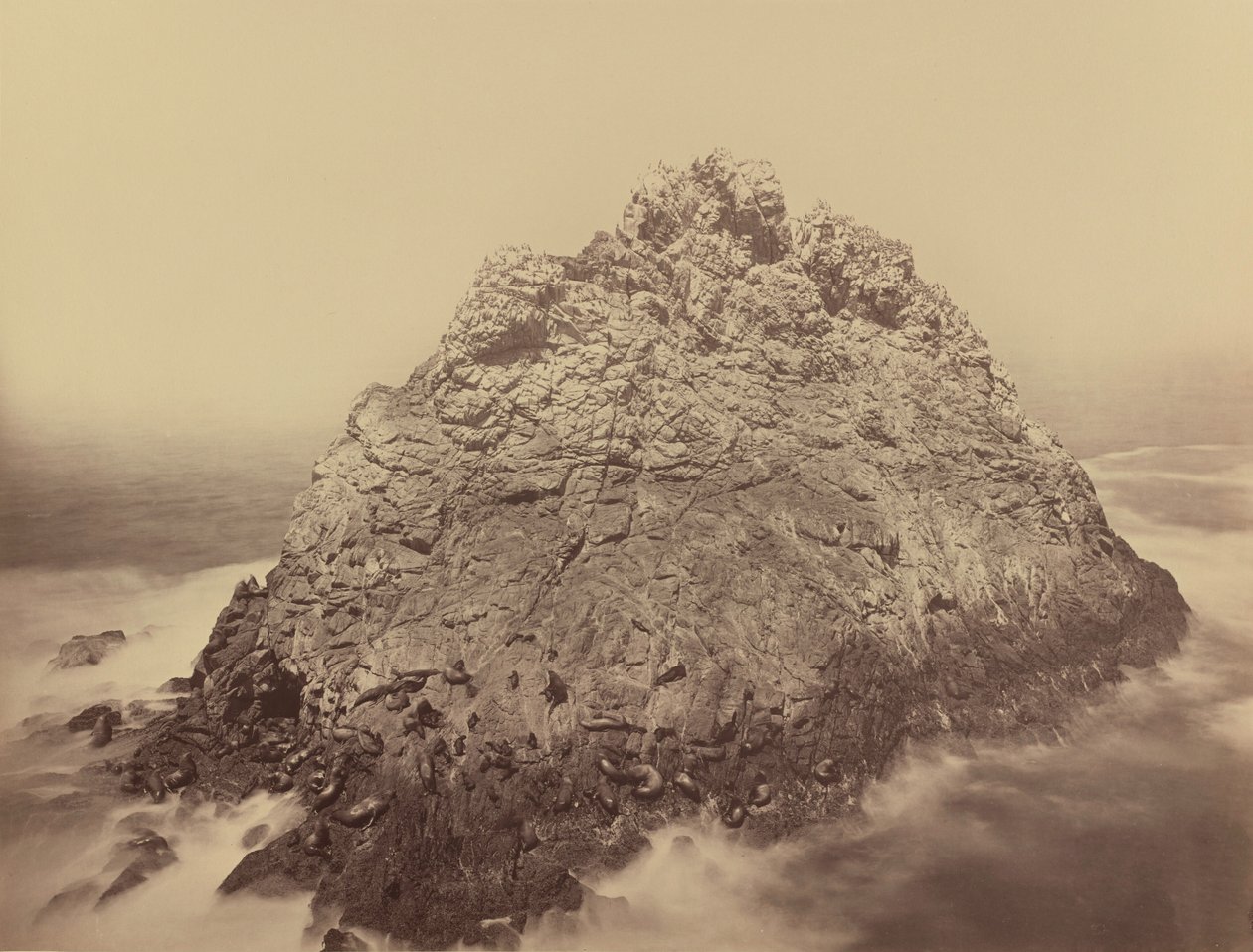 Île du Pain de Sucre, Farallons, 1868/1869 (photo) - Carleton Emmons Watkins