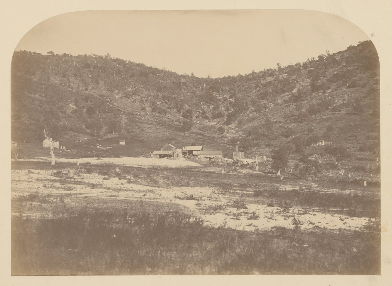 Moulin de Bear Valley - Carleton Watkins